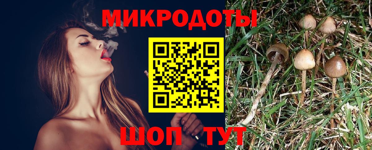 Приморско-Ахтарск  Галлюциногенные грибы Cubensis  Вход с VPN 
